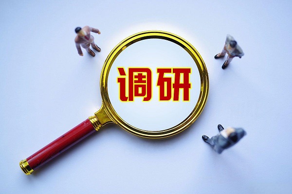 精准市场调研是独立站成功的基石