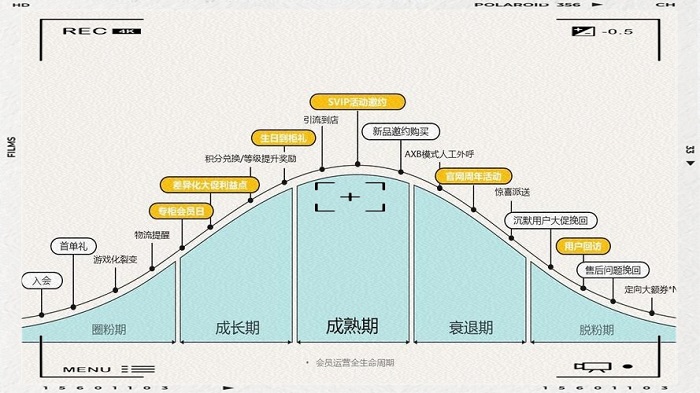 客户生命周期价值（LTV）计算模型是一个强大的工具