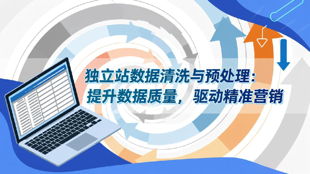独立站数据清洗与预处理:提升数据质量,驱动精准营销