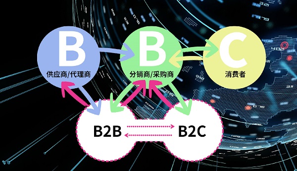 B2B2C混合模式为独立站提供了全新的增长路径