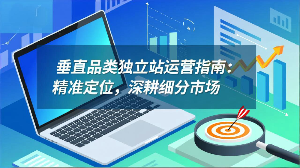 垂直品类独立站运营指南:精准定位,深耕细分市场