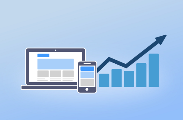 成功的独立站往往专注于细分市场