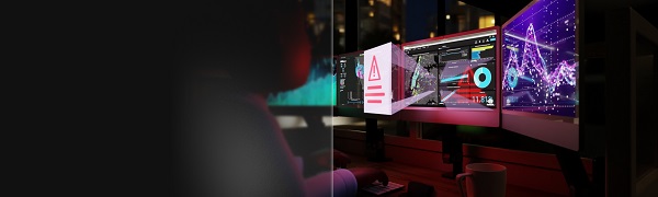 独立站应定期分析欺诈案例数据