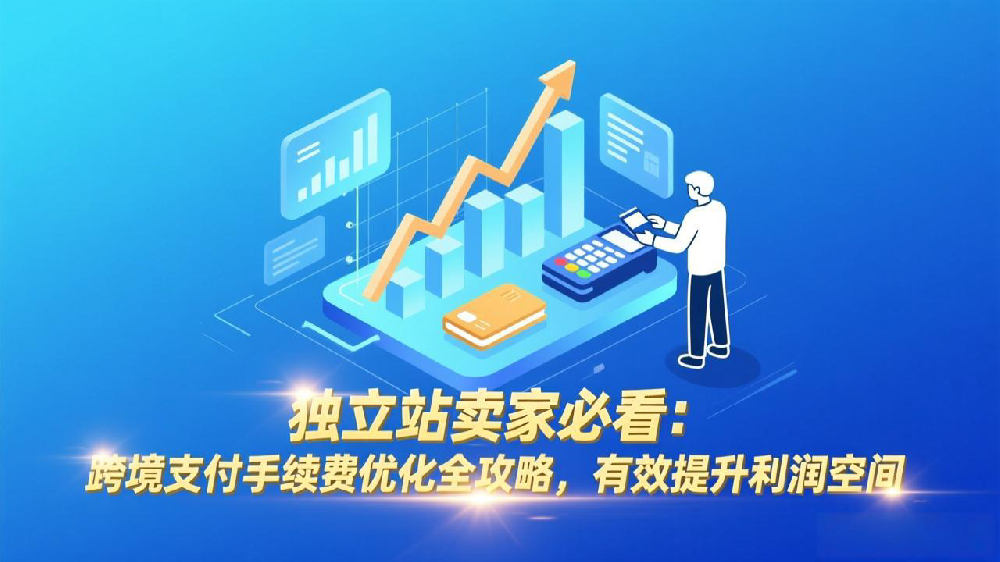 独立站卖家必看:跨境支付手续费优化全攻略,有效提升利润空间