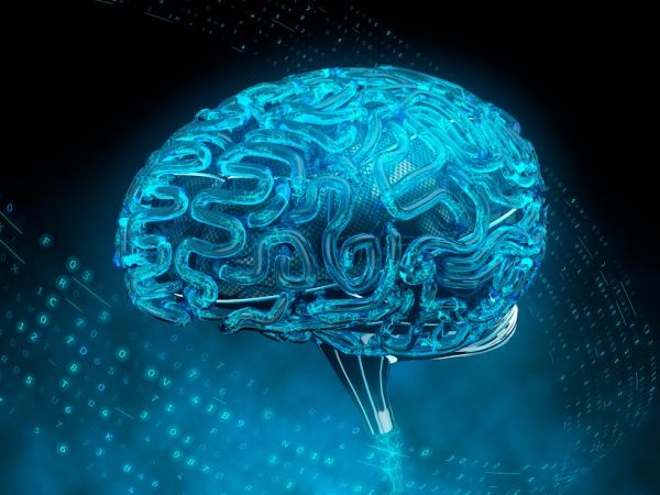 大脑在50毫秒内就能形成对网页的第一印象