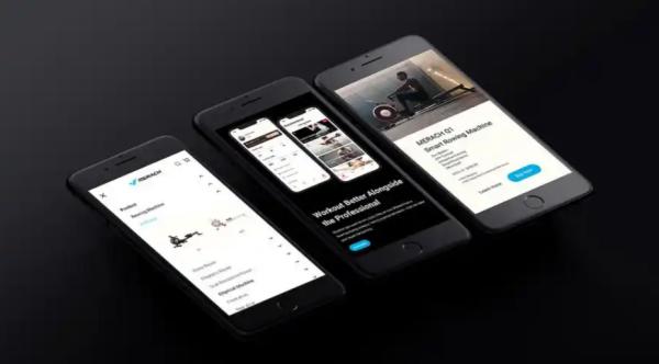 Alt属性是网站可访问性的基本要求